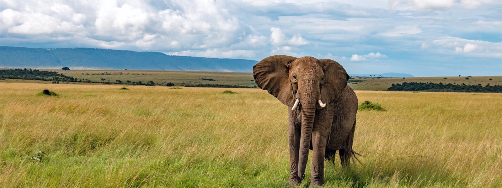 12 Days Uganda Adventure Safari