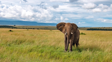 12 Days Uganda Adventure Safari