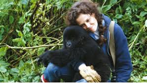 Gorilla Doctors in mgahinga