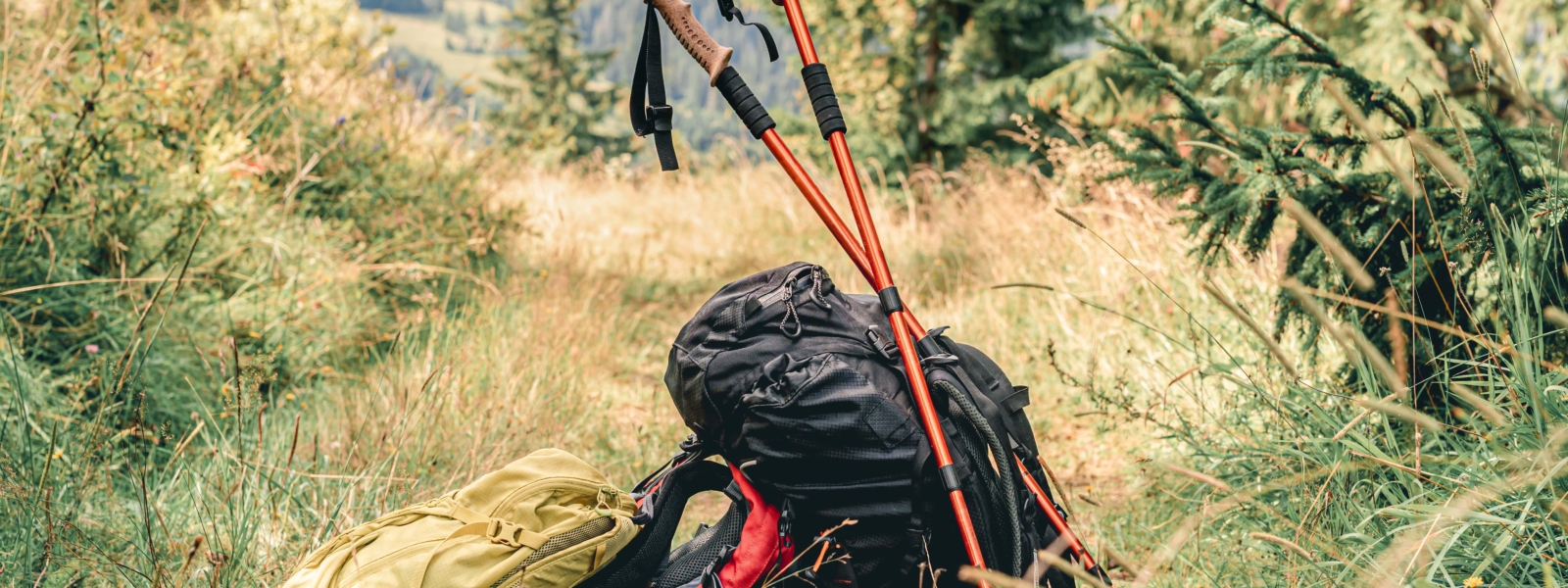 Gorilla Trekking Packing List