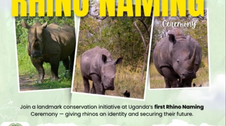 name a rhino uganda